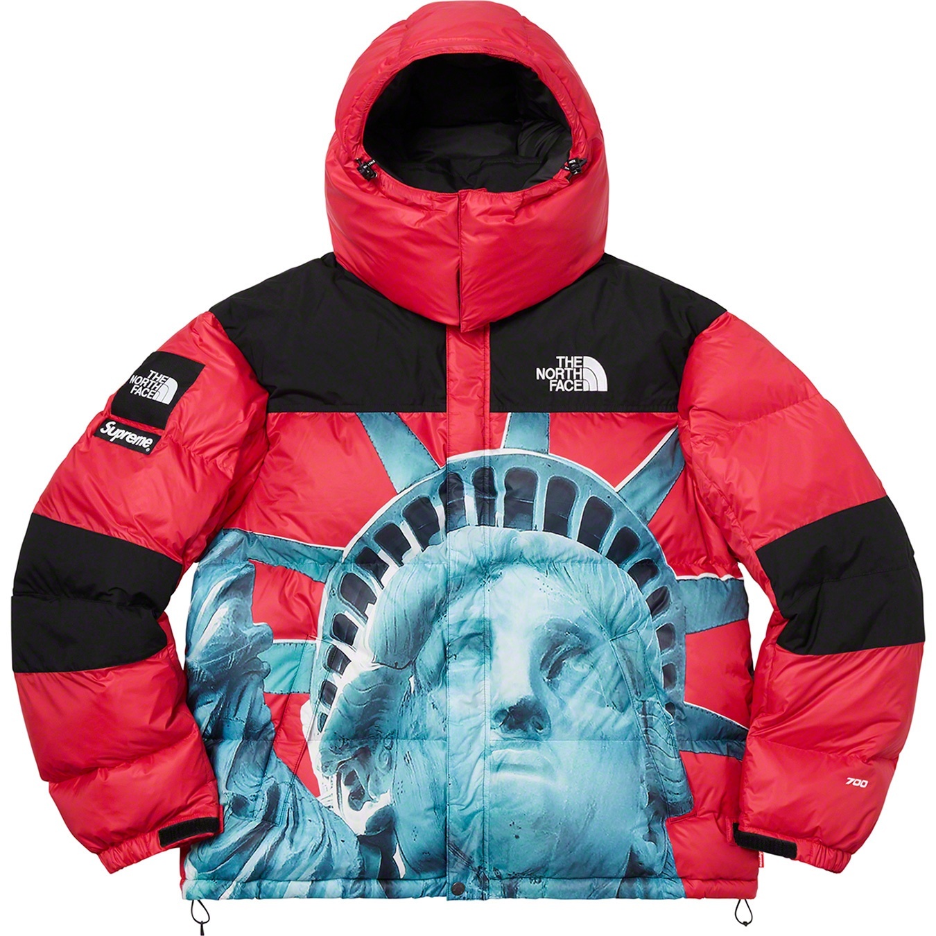 Supreme®/The North Face® Statue of Liberty Baltoro Jacket view 6